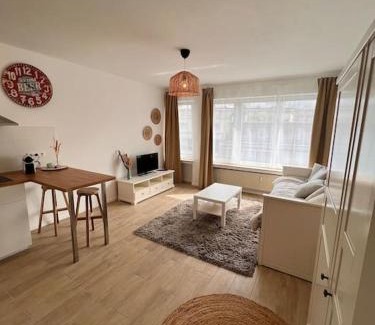 Sint-Jans-Molenbeek Apartment | Flat moderne et lumineux