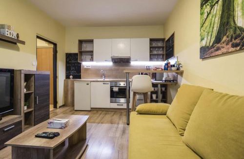 Zapad Apartment | FLEXIHOME SK - Trieda SNP 61 - private parking spot