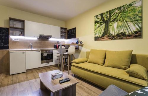 Zapad Apartment | FLEXIHOME SK - Trieda SNP 61 - private parking spot