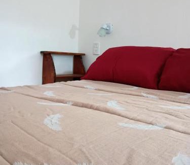 Coronel Pringles Department House | Flor de Espinillo Estancia Grande