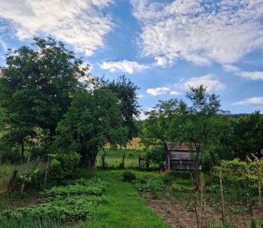 Laslea House | FLORESTI HOUSE 21