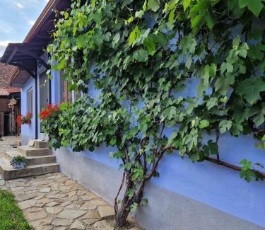 Laslea House | FLORESTI HOUSE 21