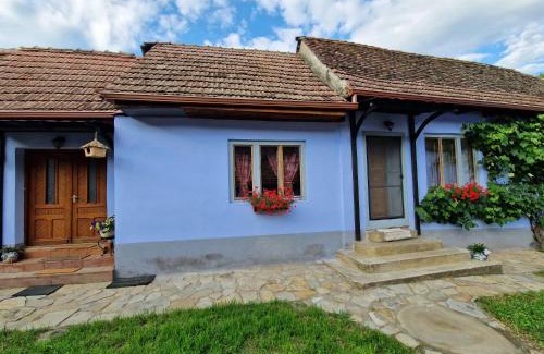 Laslea House | FLORESTI HOUSE 21