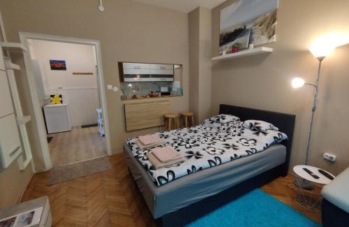 Csarnok negyed Apartment | Flower Studio Apartment