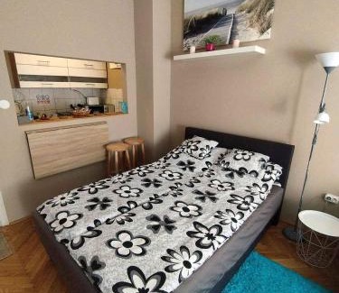 Csarnok negyed Apartment | Flower Studio Apartment