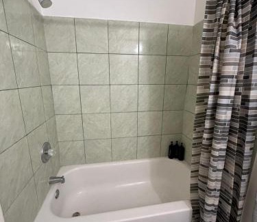 Downtown Las Vegas Apartment | Flowers Downtown Vegas