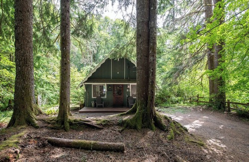 Paradise Estates Cabin | Fog & Fern Hideaway at Mt. Rainier