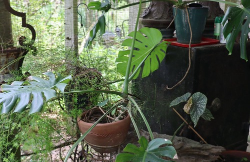 Opelousas House | ★ Folk Art Barn, Lrg Pvt 2 BR ★ Safe Getaway ★
