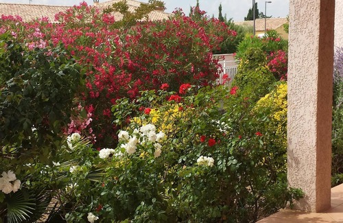Sauvian House | For pleasant and enriching holidays between sea and mountains