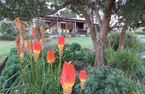 Wakkerstroom House | Forellenhof Guest Farm