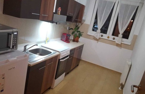 Calea Sever Bocu Apartment | Forest apartment Timisoara