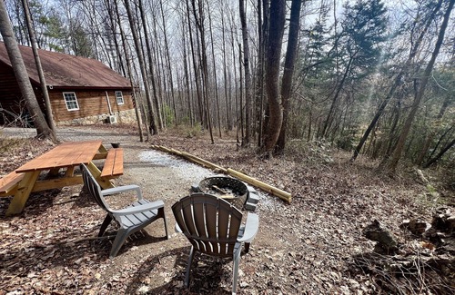 Traphill Cabin | Forest Cabin Moments from Stone Mountain