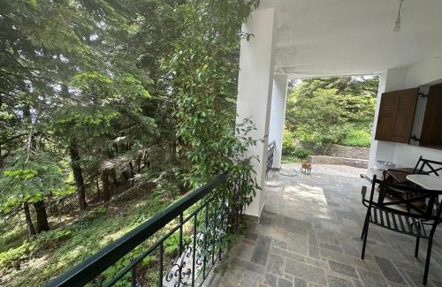 Central Tzoumerka House | Forest cottage top of the world