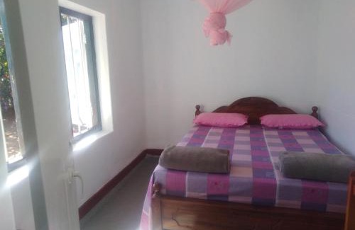 Ohiya House | Forest Cyniciam Homestay