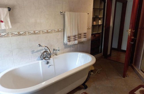 Kloof Bed & Breakfast | Forest Dream House
