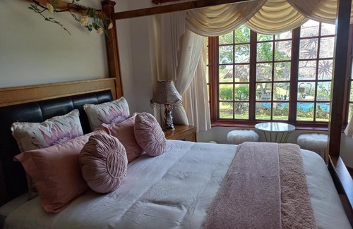 Kloof Bed & Breakfast | Forest Dream House