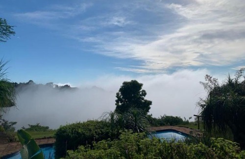 Kloof Bed & Breakfast | Forest Dream House