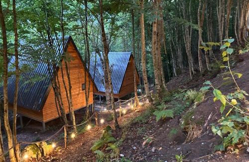 Shale Villa | Forest Escape