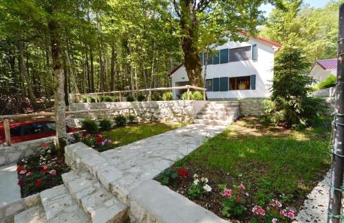 Cetinje House | Forest house