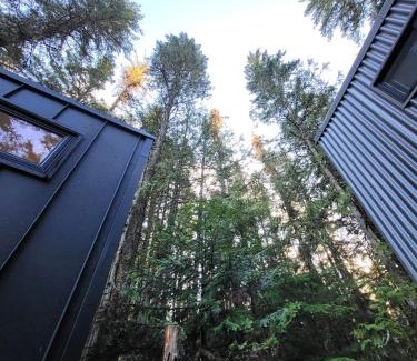 Central Kootenay House | Forest Nook