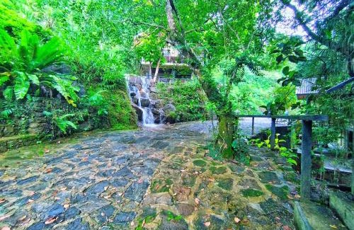 Deraniyagala Hotel | Forest Shade Eco Resort Deraniyagala