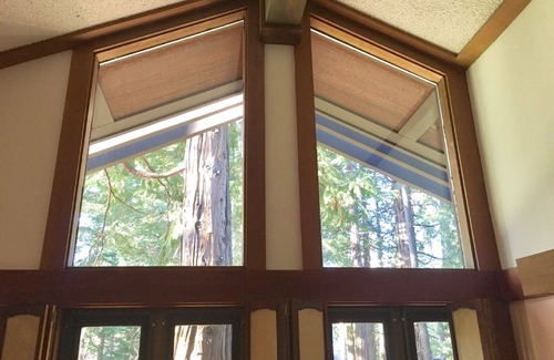 Tahoe Tavern House | Forest View - 10 Minutes to Palisades Tahoe & Walk to Town!