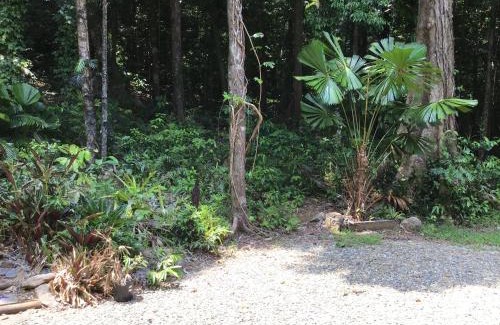 Diwan House | Forest views
