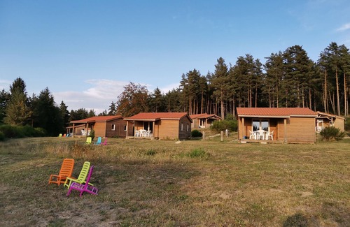 Usson-en-Forez Ski Chalet | Forester of 30m2 for 4 people.