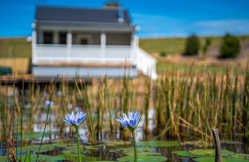 Coopers Shoot Ski Chalet | Forget Me Not Farm Cottages - Poppy