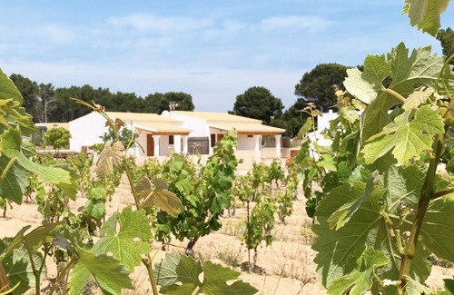 Sant Francesc Xavier Apartment | Formenteranatural. Rural apartment 2 km from Sant Francesc.