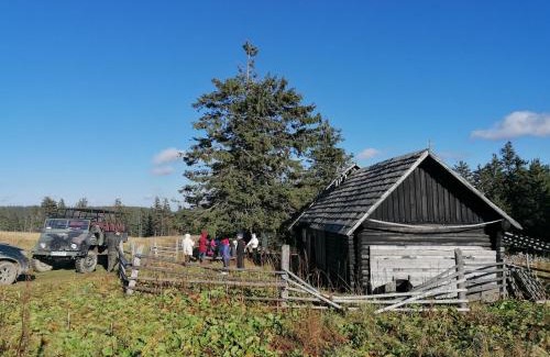 Covasna House | Four Season Komando