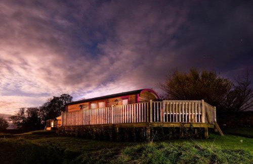 Bowsden House | Foxglove Shepherd's Hut