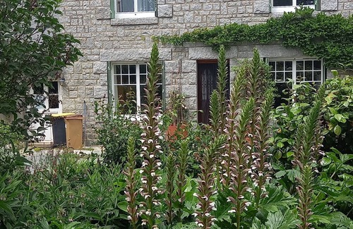 Dolo House | Family home in country with pool, lovely private gardens. Sleeps 6