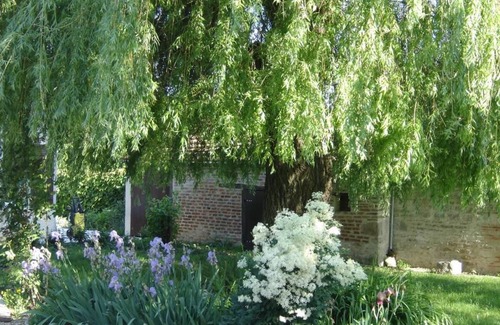 Saint-Nicolas-les-Citeaux Bed & Breakfast | 16 m² Bed and breakfast ∙ 1 bedroom ∙ 3 guests
