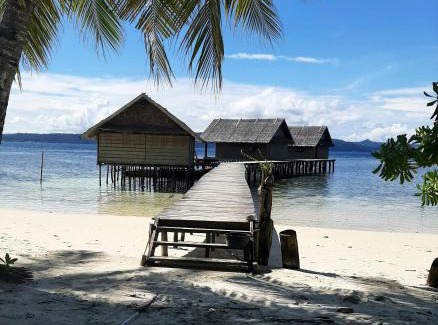 Mansuar Island House | Frances Homestay - Raja Ampat
