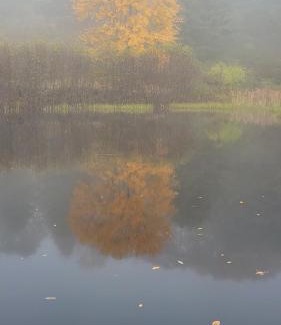 Chester Bed & Breakfast | Franklyn Farm Inn