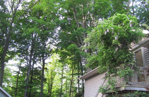 Saugeen 29 Cottage | Frenchman Bay Cottages-Loft