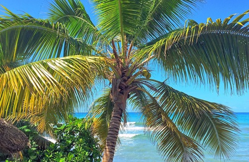 Cotterelle Cottage | Fresh Sea Breeze from Garden Cottage (Rm 1)