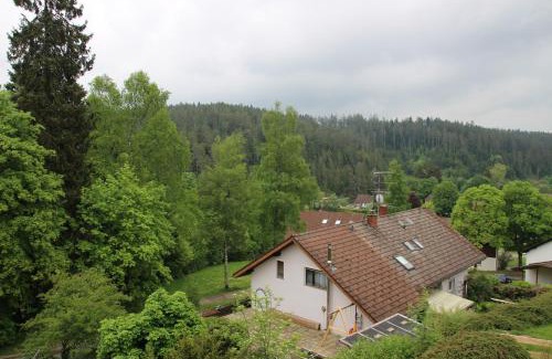 Friedenweiler Apartment | Friedenweiler Am Sommerberg by Kuckucksnester