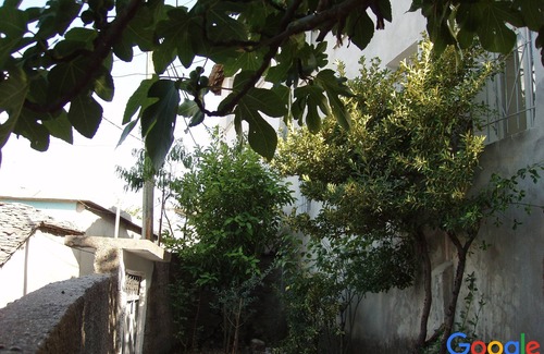 Gjirokaster Villa | Friendly Hostel