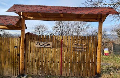 Valea Mare-Pravat Other | Friendship Cabin (Friendship Land)