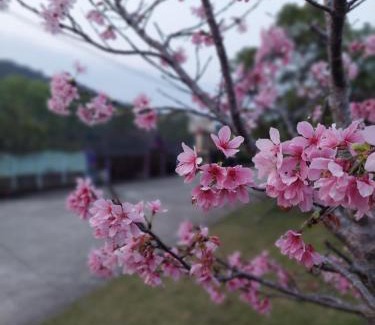 Nanzhuang Bed & Breakfast | Fu Chuan Garden