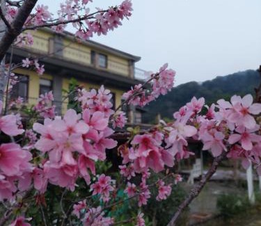 Nanzhuang Bed & Breakfast | Fu Chuan Garden