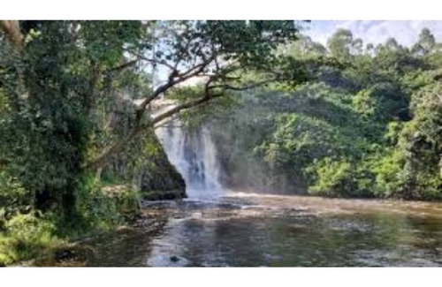 Jinja House | Full House with spacious convenience!