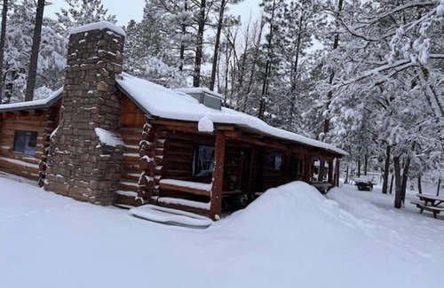 Pinetop-Lakeside Cabin | Fully fenced yard, dogs welcome!
