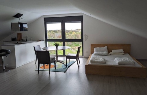 Neulussheim Apartment | Fully Furnish Studio Apartment with good connectivity