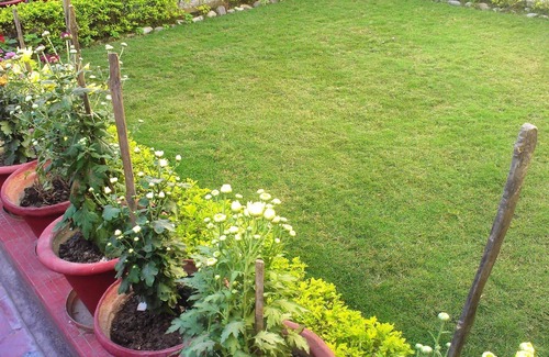 Gomti Nagar Apartment | Fully Furnished 1BHK for small families SA1- room, lobby, kitchen, bathroom