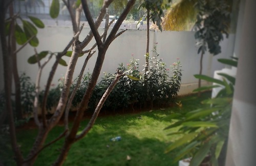 Agara Villa | fully independent villa with all the luxury and comfort of home