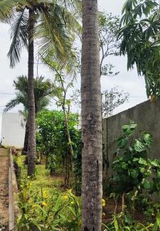 Covelong Beach Hotel | Fun World Beach Park