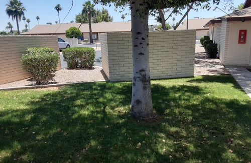 Sunland Village East Condo | Furnished condo in Sunland Village East, an active adult 55+golf resort. No Pet